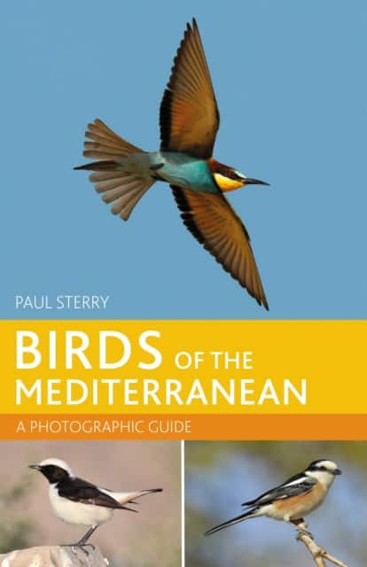 Birds of the Mediterranean: A Photographic Guide av Paul Sterry