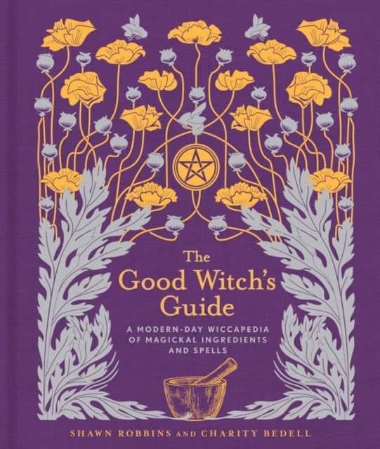 The Good Witch's Guide av Charity Bedell