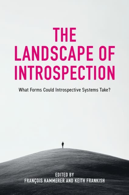 The Landscape of Introspection