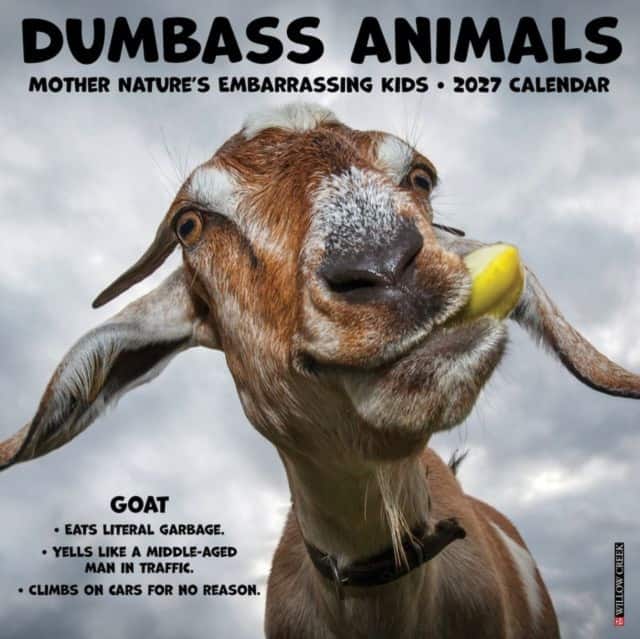 Dumbass Animals 2027 Wall av Willow Creek Press