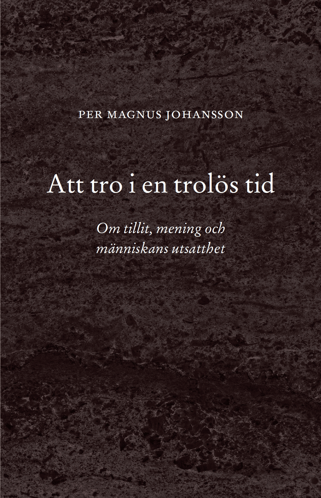 Att tro i en trolös tid : Om tillit, mening och människans utsatthet