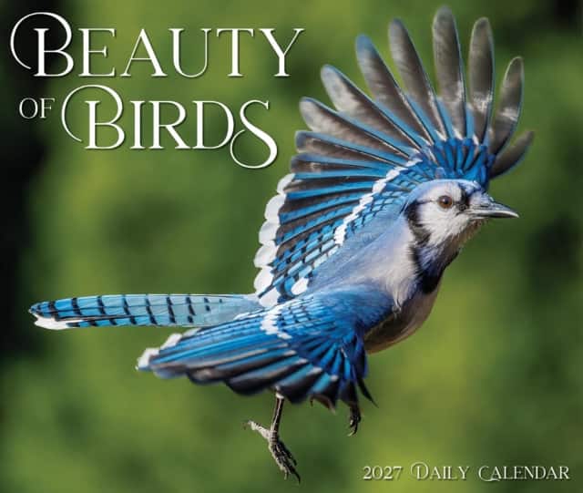 Beauty of Birds 2027 Box av Willow Creek Press