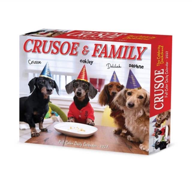 Crusoe & Family 2027 Box av Willow Creek Press