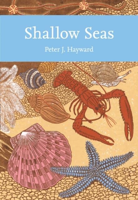 Shallow Seas