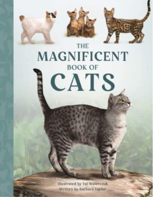The Magnificent Book of Cats av Barbara Taylor
