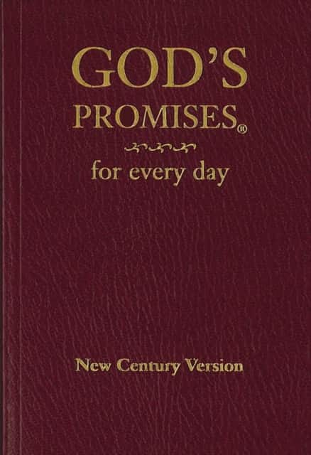 God's Promises for Every Day av Jack Countryman