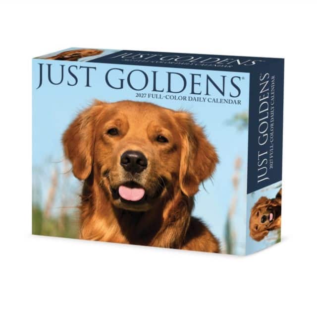 Goldens 2027 Box av Willow Creek Press