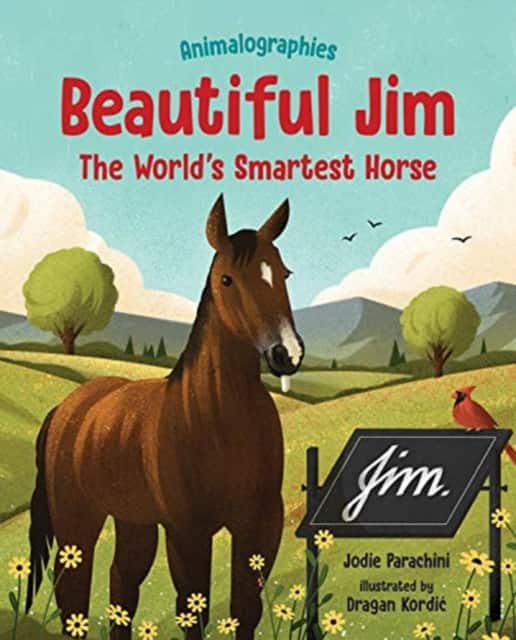 Beautiful Jim av Jodie Parachini