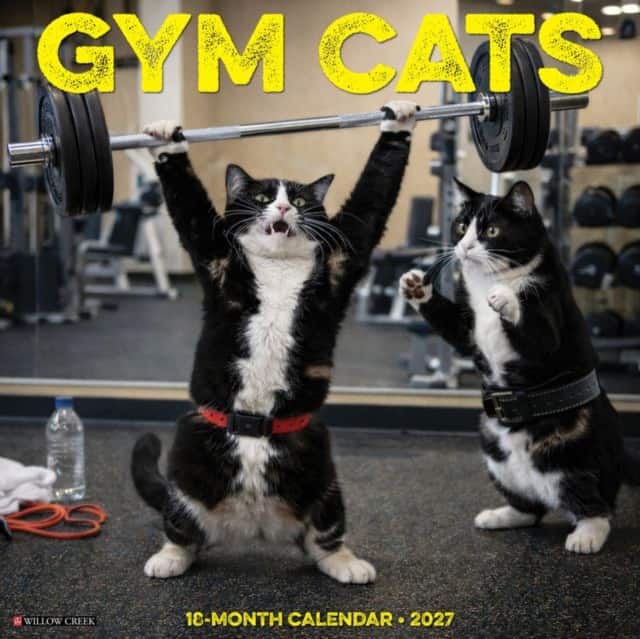 Gym Cats 2027 Wall av Willow Creek Press