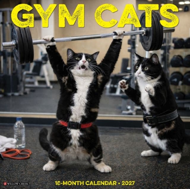 Gym Cats 2027 Wall