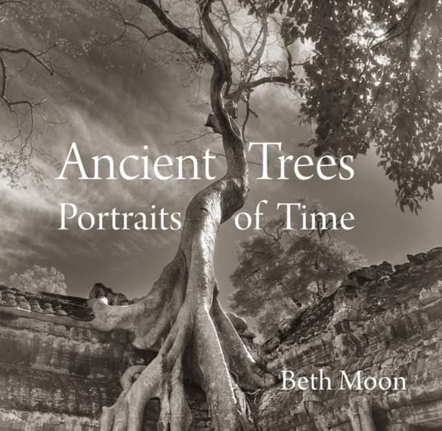 Ancient Trees av Beth Moon