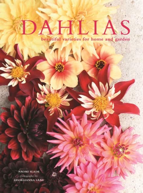 Dahlias av Naomi Slade