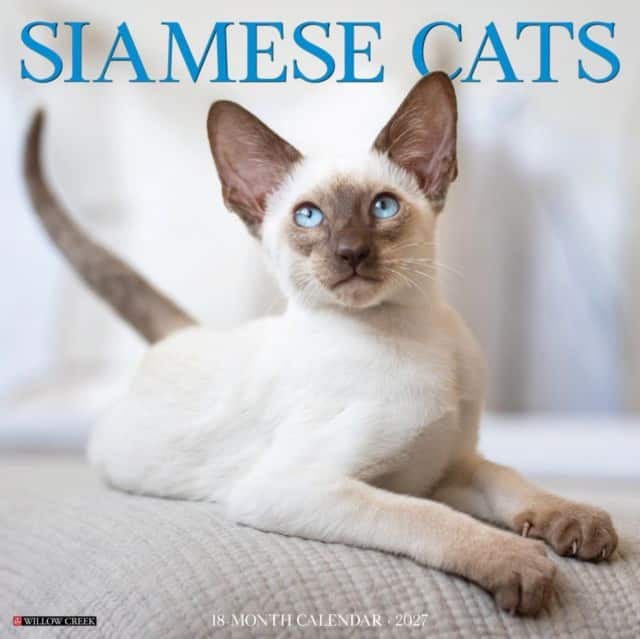 Siamese Cats 2027 Wall av Willow Creek Press