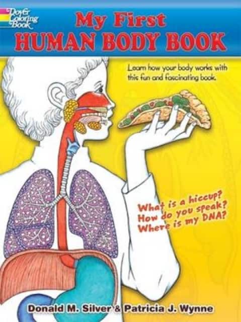 My First Human Body Book av Patricia J. Wynne