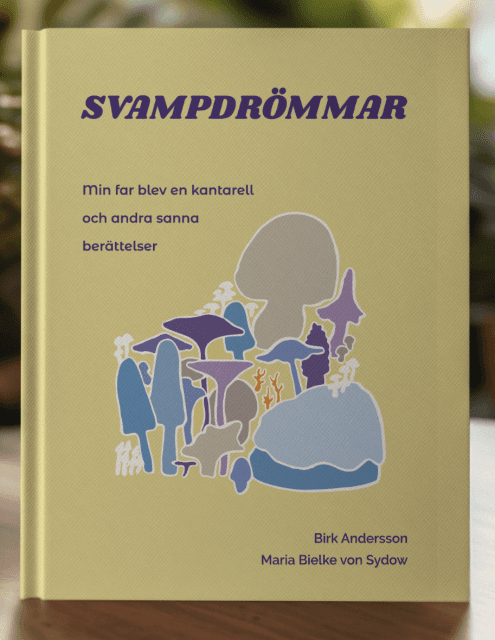 Svampdrömmar