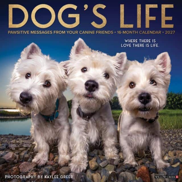 Dog's Life 2027 Wall av Willow Creek Press