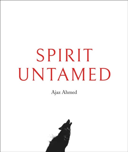 Spirit Untamed