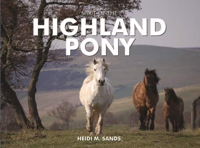 Spirit of the Highland Pony av Heidi M. Sands