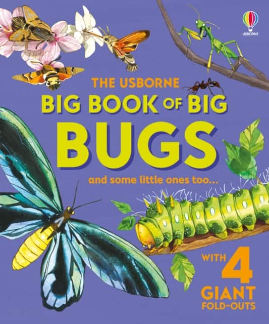 Big Book of Big Bugs av Emily Bone