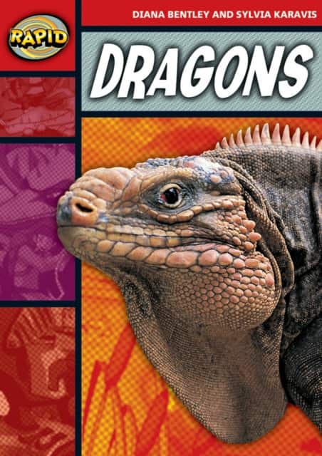 Rapid Reading: Dragons (Stage 2, Level 2B) av Diana Bentley