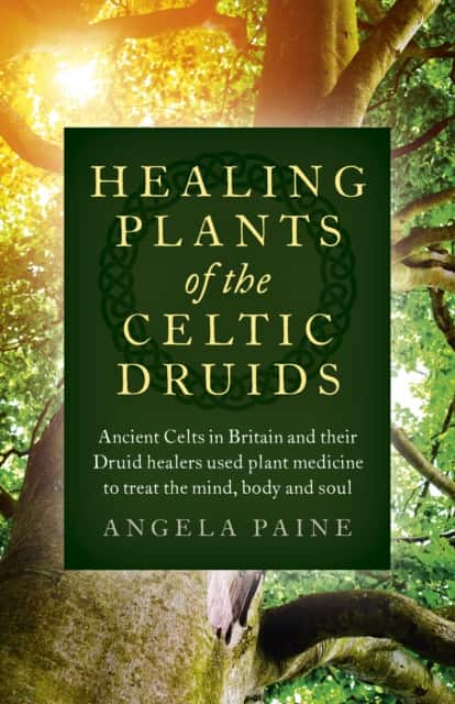 Healing Plants of the Celtic Druids – Ancient Celts in Britain and their Druid healers used plant medicine to treat the mind, body and soul av Angela Paine