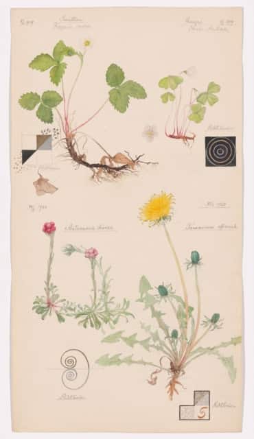 Hilma Af Klint av Jodi Hauptman