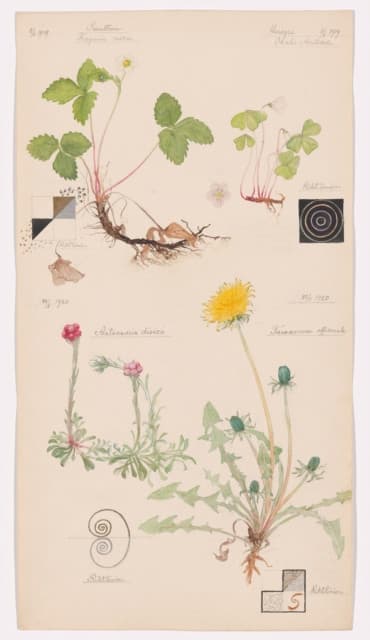 Hilma Af Klint