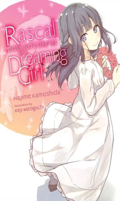 Rascal Does Not Dream of a Dreaming Girl (light novel) av Andrew Cunningham