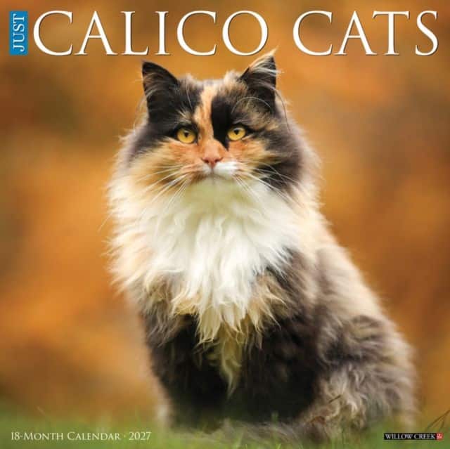 Calico Cats 2027 Wall av Willow Creek Press