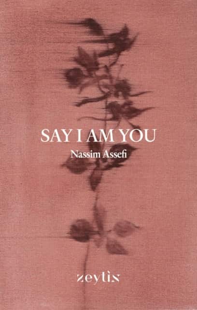 Say I Am You av Nassim Assefi