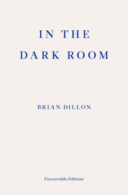In the Dark Room av Brian Dillon