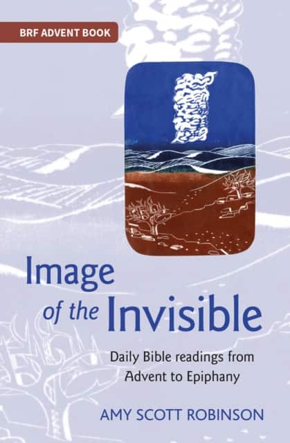 Image of the Invisible av Amy Scott Robinson