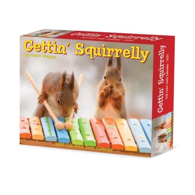 Gettin' Squirrelly 2027 Box av Willow Creek Press