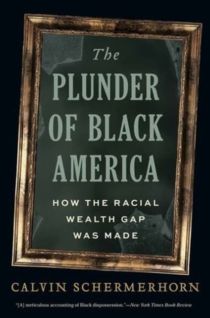 The Plunder of Black America