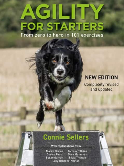 Agility For Starters av Connie Sellers