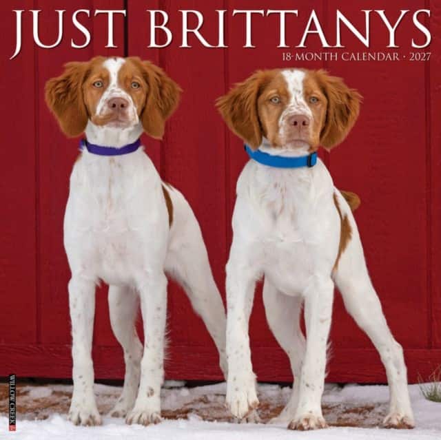 Brittanys 2027 Wall av Willow Creek Press