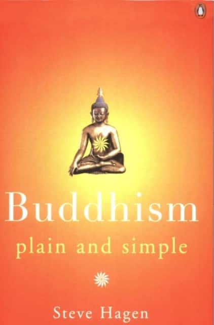 Buddhism Plain and Simple av Steve Hagen