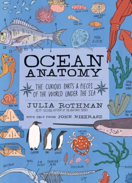 Ocean Anatomy av John Niekrasz