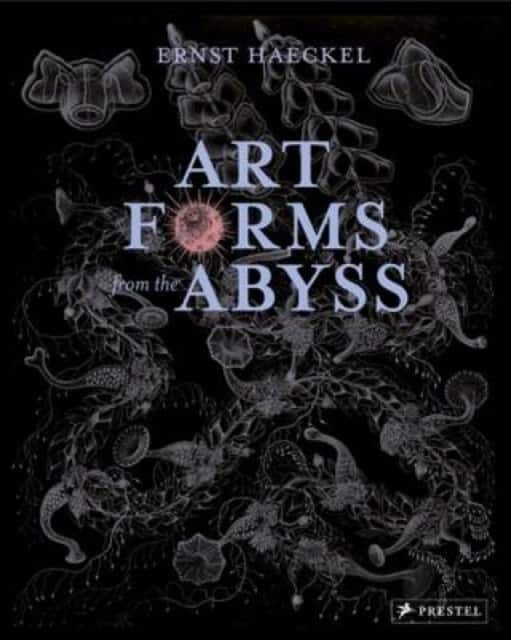 Art Forms from the Abyss av Peter J. le B. Williams