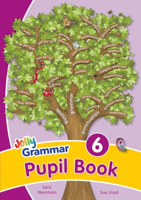Grammar 6 Pupil Book av Sara Wernham