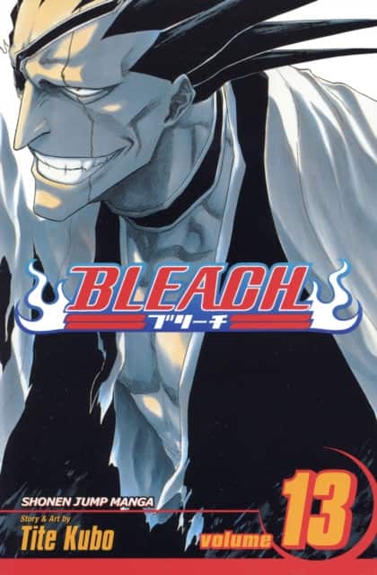 Bleach, Vol. 13 av Tite Kubo