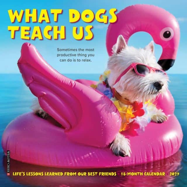 What Dogs Teach Us 2027 Mini av Willow Creek Press