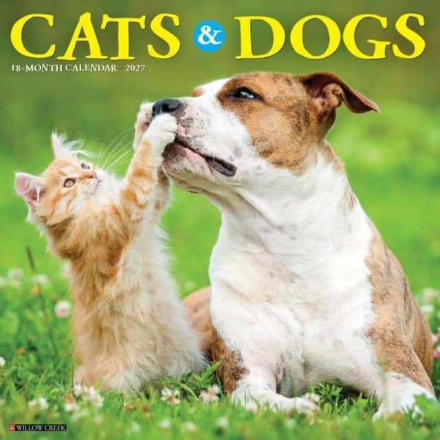 Cats & Dogs 2027 Wall av Willow Creek Press