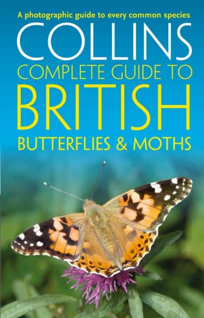 British Butterflies and Moths av Andrew Cleave