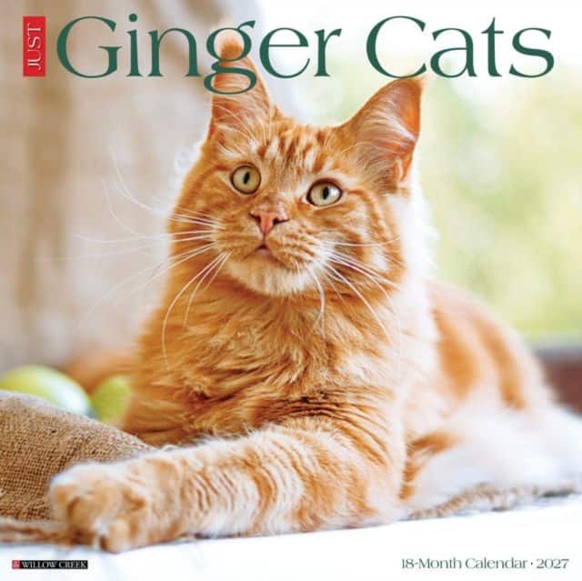 Ginger Cats 2027 Wall av Willow Creek Press