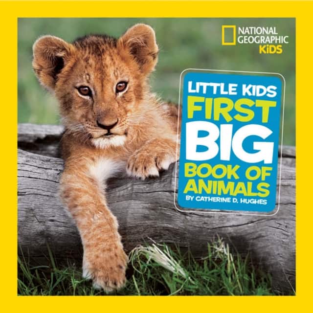 Little Kids First Big Book of Animals av Catherine D. Hughes