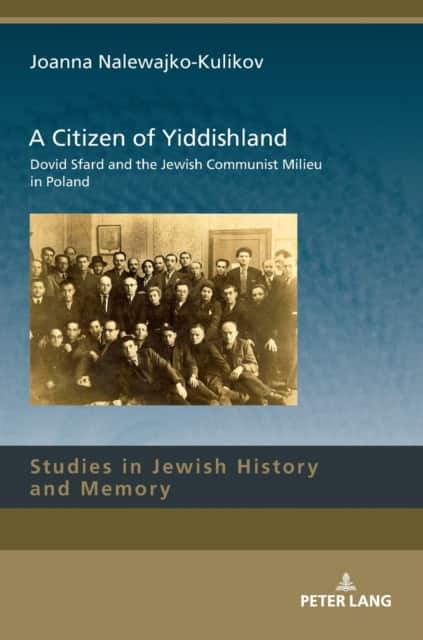 A Citizen of Yiddishland av Ri J. Turner