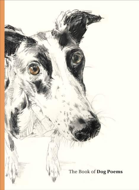 The Book of Dog Poems av Ana Sampson