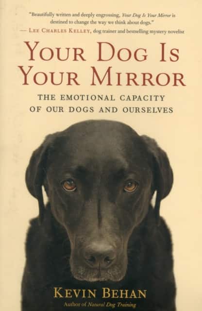 Your Dog Is Your Mirror av Kevin Behan