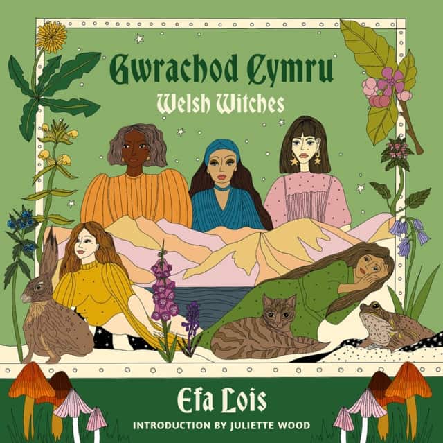 Gwrachod Cymru | Welsh Witches av Efa Lois